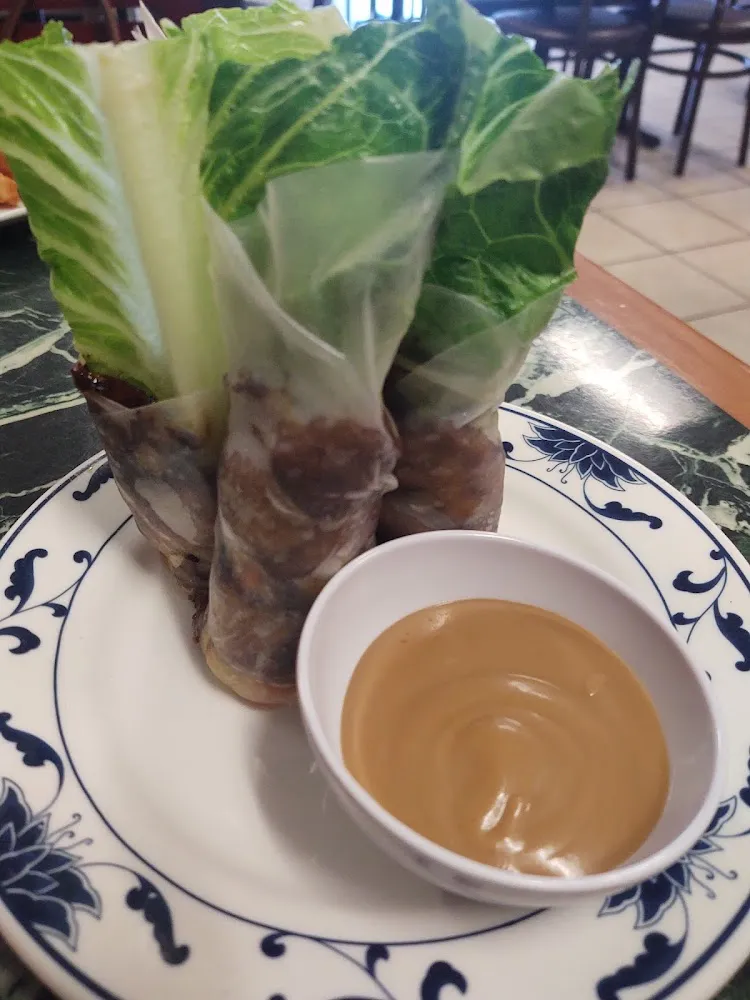Fresh Spring Rolls